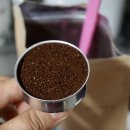 비올레띠 이미지