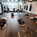 에이블 복싱GYM 이미지