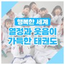 도담 태권도 이미지