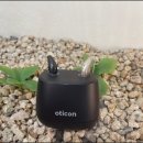 포낙보청기 포항센터 이미지