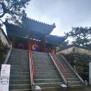 회재유집목판 | 사진의온도 광주광역시 서원 사진]금당산 맨발걷기 3번째, 광주 서구 풍암동 비오는날의 벽진서원