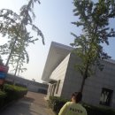 금화