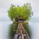 오렌지세탁소 이미지