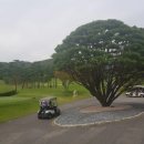 삼성물산㈜에버랜드리조트 | 용인 에버랜드, 글렌로스골프클럽 이용안내, 이용팁