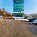 플러피 퍼피 이미지