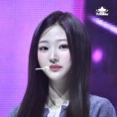 스텔라(Stella) 이미지