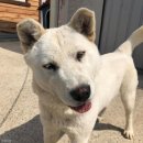 동석농장 이미지