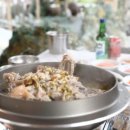 초원생오리 이미지