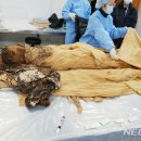 남구미로-4 이미지