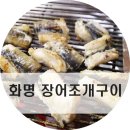 화명장어조개