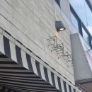 가까운새서울약국 이미지