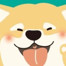 주식회사 미미펫 이미지