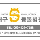 유앤동물의료원 이미지