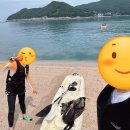 (유)스카이 투어 이미지