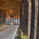 시장짜장면 이미지