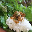 정통쌈밥 이미지