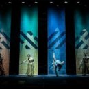 퍼포먼스 태권도장 이미지