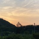 더슈나애견펜션 이미지