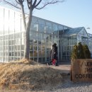알렉스 더 커피 (Alex The Coffee) | 용인카페 알렉스더커피 ALEX THE COFFEE 시그니처 커피
