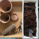 (주)아성다이소 삼산본점 | 미국 여행 후 겨울잠[2026. 02.20.-03.01]