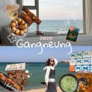 김밥박사 | 핫플 솔직리뷰 (활명수 임당동162 휘낭시에/원조누룽지 황금오징어순대/금학칼국수/카페 툇마루/교동김밥)