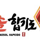 해솔합기도 이미지