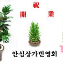 청기와카센타 이미지