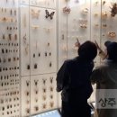 생활-생물-생태 프로그램(상반기) 이미지