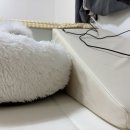 마약집 | 강아지방석 추천! 아늑함에 푹 빠진 아엔이 마약방석 후기 🐶💤