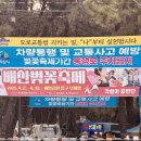 만물상 | [전북자치도 익산시]배산 벚꽃 축제 후기, 꽃보다 바람!