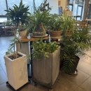 해든 | 광명 해든부엌 후기｜이케아 근처 아기자기한 브런치 맛집 (내돈내산)