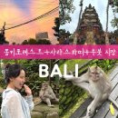 자연친화코스2 | 발리 우붓 투어 후기｜몽키포레스트·우붓시장·사라스와띠 사원 하루 코스
