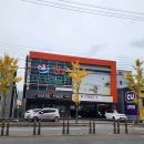 킹스크린골프 이미지