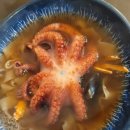 스테이서귀 이미지