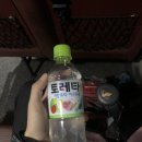 제주한라산 겨울산행 정상등반 후기 주의사항 포토스팟