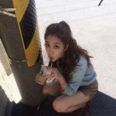 전봇대 옆 이미지