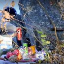 동해남부유치원 이미지