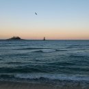 농가맛집 어부림 이미지