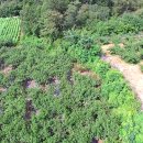 의성부동산 의성토지매매 의성주말농장매매 출처군위우보부동산 이미지