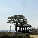 구 영주역 5호 관사 | 할미의 영주 여행 / 영주에서 과거로 떠나보기 '근대역사 문화거리'와 '관사골 공원'