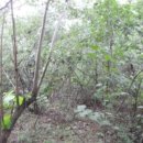 전대1리마을회관 이미지