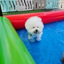 개리비안베이 이미지