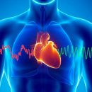 고려사우나 이미지