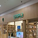 행복한신발천국 | 일산 고양이 카페 캣플헤븐｜일산 실내데이트 추천,방문 후기,고양이 입양