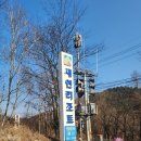 가평애견카라반 새연리조트 1호점 이용후기