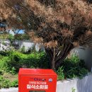 묵호농협 하나로마트 평릉점 | 묵호농협 하나로마트 평릉점 NH Charge 충전소 엠케이파트너 질식소화포 설치 완료