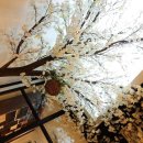 페이지앤스크롤 이미지