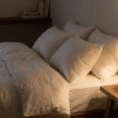 [성인] 뇌를 깨우는 질문 독서 | 뇌 건강 챙기는 간단한 생활 습관 3가지, 40대부터 시작해야 늦지 않더라고요