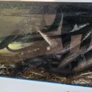 미가식당 이미지