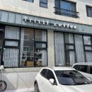 트릿티커피